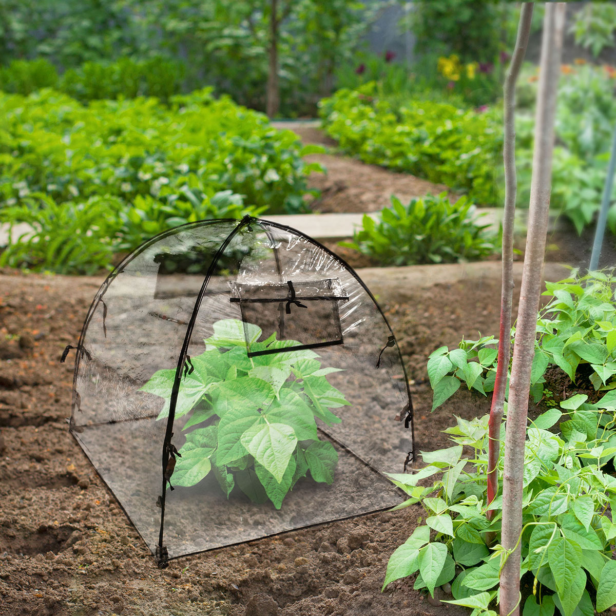 Greenhouse Covers Whites Group
