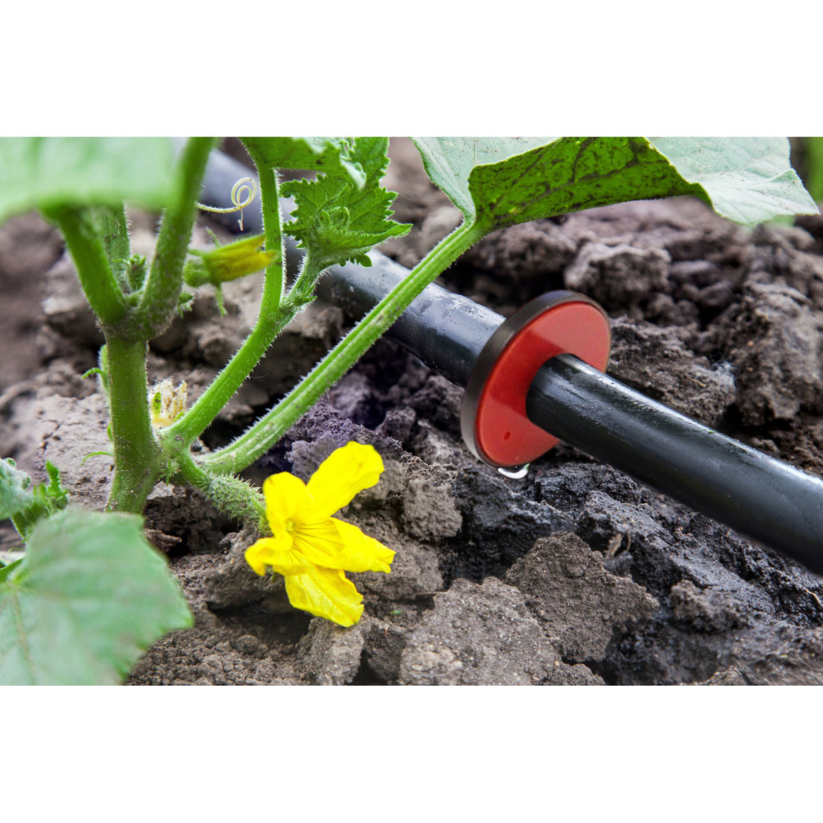 Garden Up Irrigation Dripper Kit