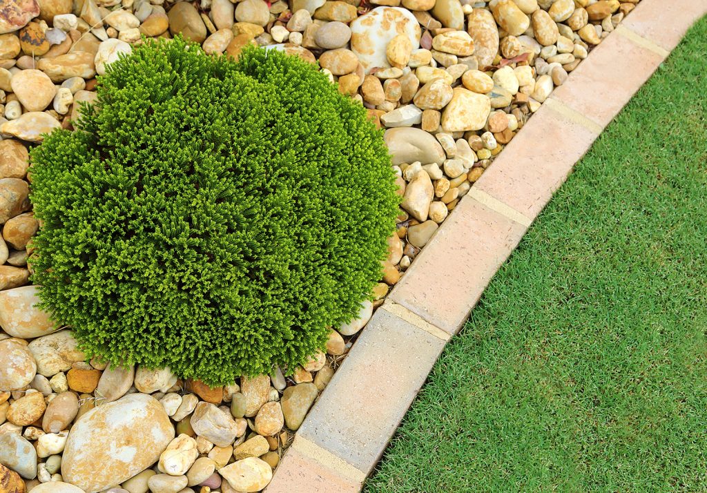 Homepage Whites Group